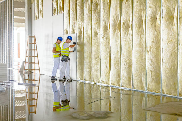 Best Home Insulation Services  in Union City, OK